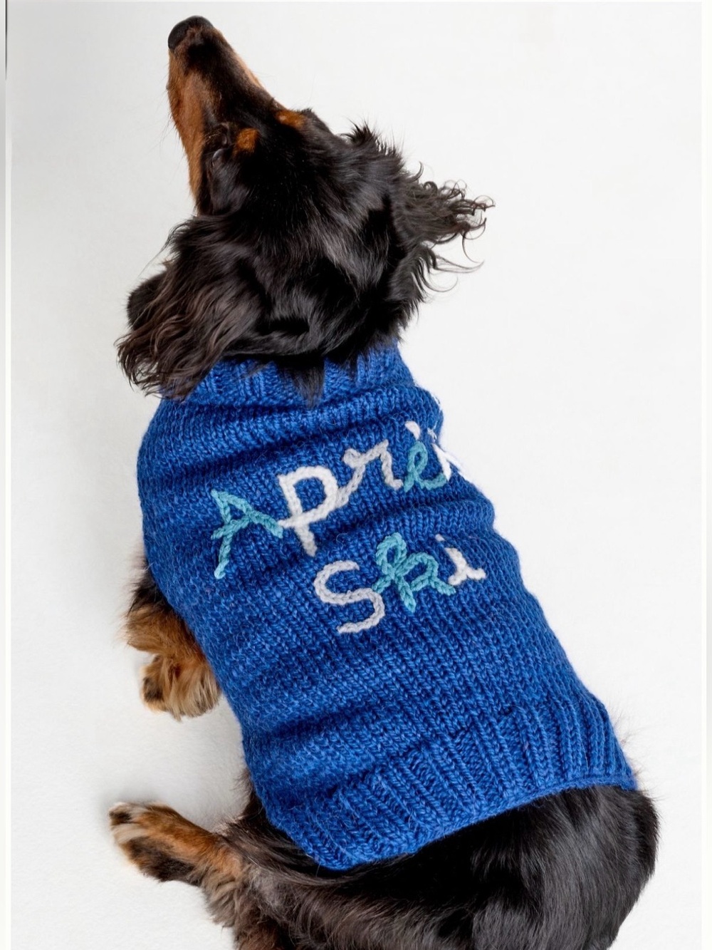 ANTHROPOLOGIE➕Hand•Knit Wool Holiday Phase Pet Sweater NWT